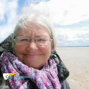 brillault lepage patricia