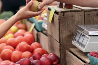 #BienVivre : Développement économique