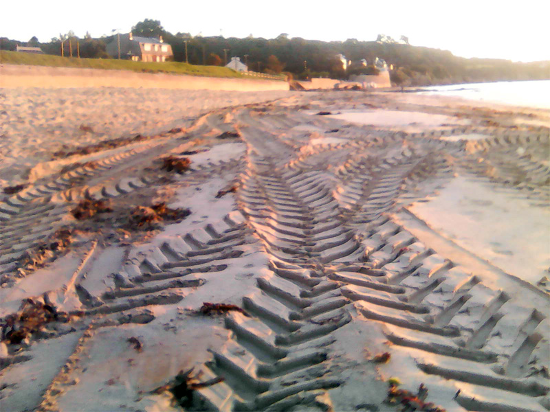 Plage Trez Hir sans laisse de mer