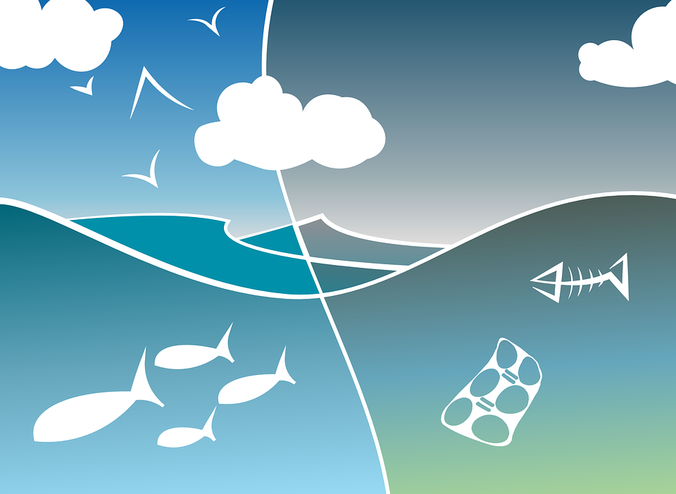 environnement