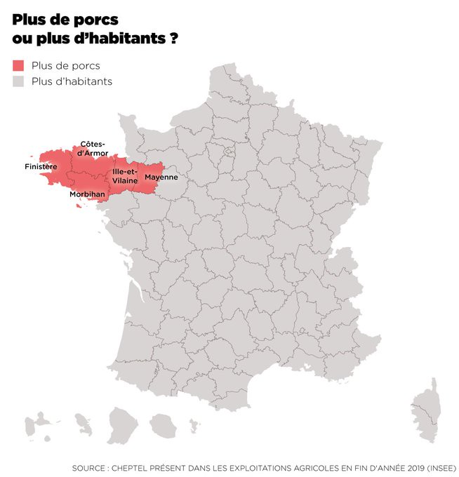 populaition porcs vs humains