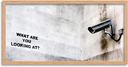 camera banksy
