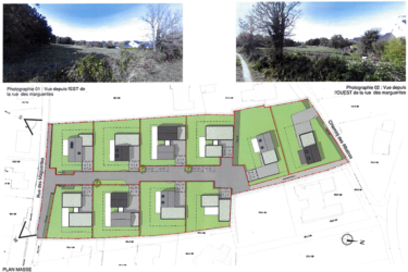 Questions pour le conseil municipal du 14/11 : sauvegarde des chênes du futur lotissement champs des marguerites