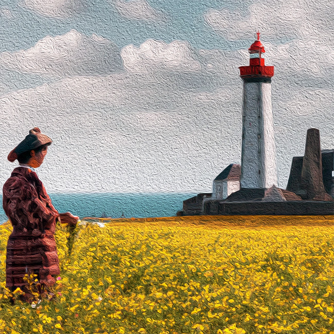 Conseil Municipal de mai 2023 : faucheurs de marguerites et mauvaises connexions à Plougonvelin